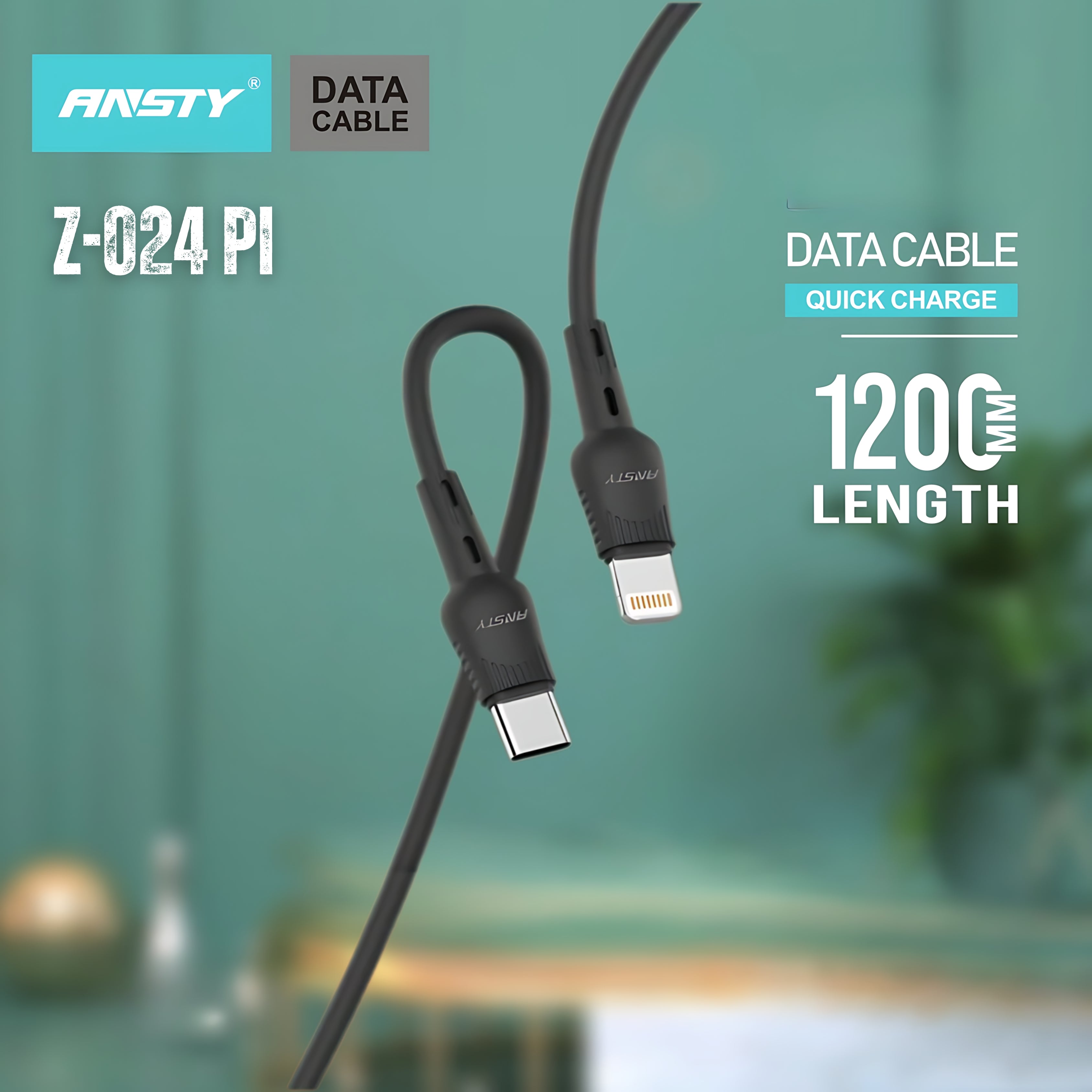 TC to Lightning 3.1A Fast Charging & Data Cable Z-024-PI
