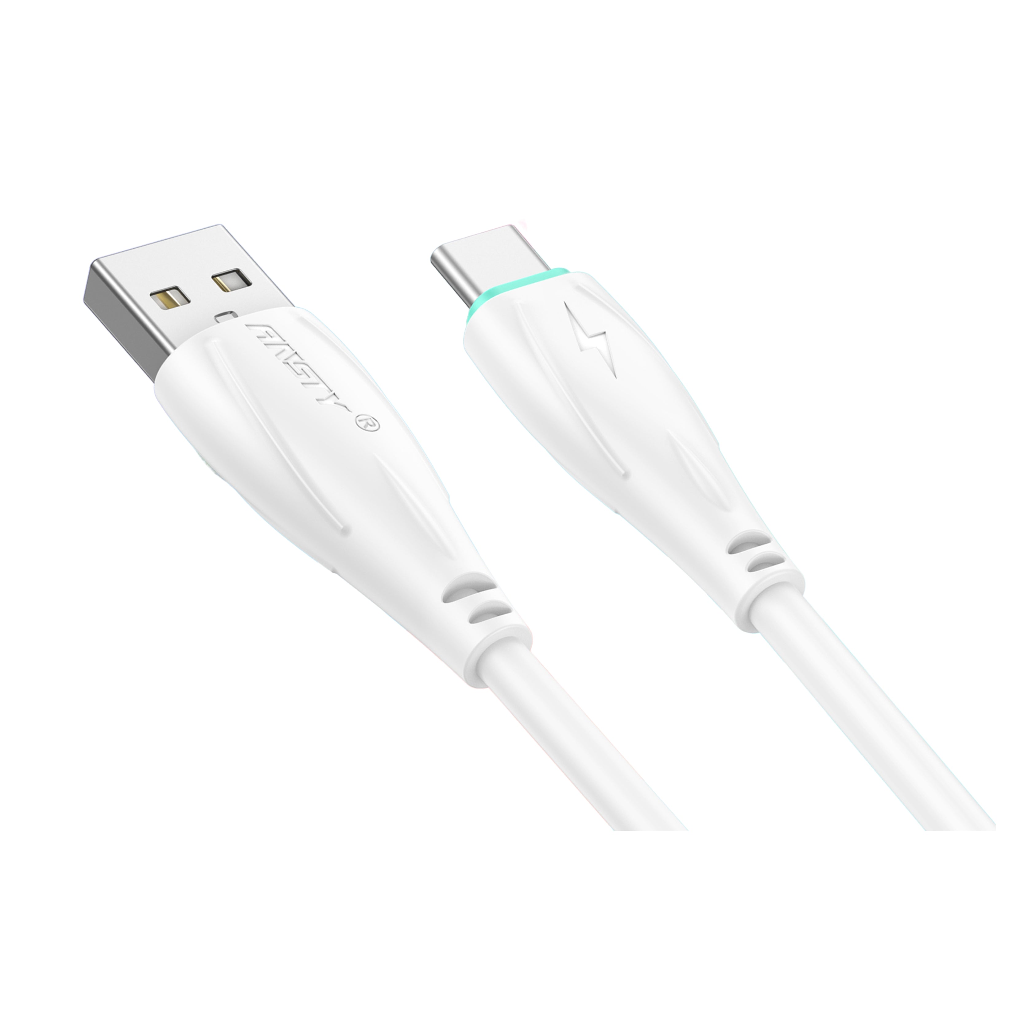 Type-C Fast Charging Data Cable ANS-711-T
