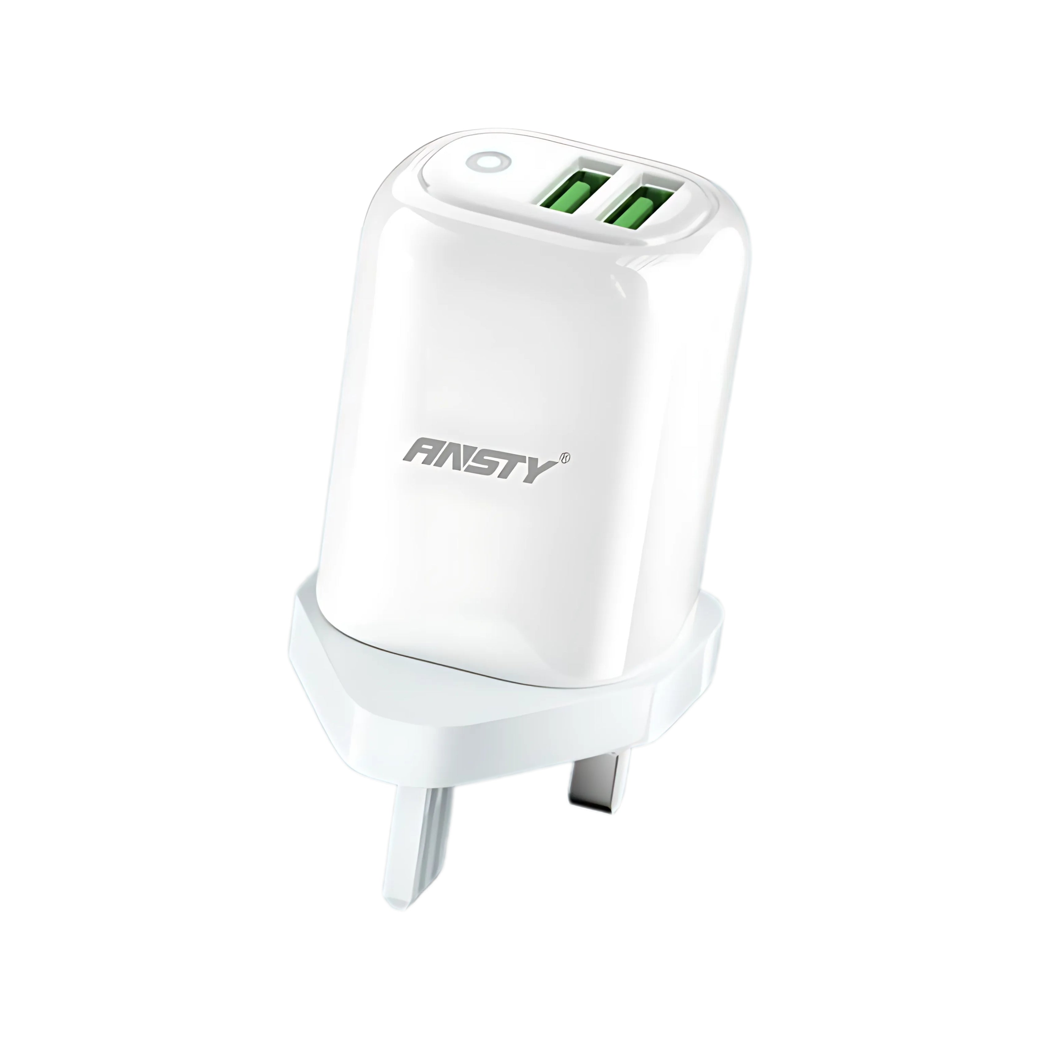 2USB LED Type-C 3.1A Fast Charger AT-004-T