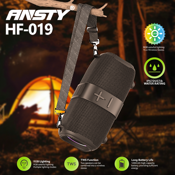 TWS Bluetooth Speaker HF-019