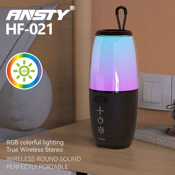 Portable RGB Wireless Speaker HF-021